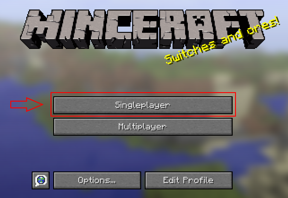 Press Singleplayer